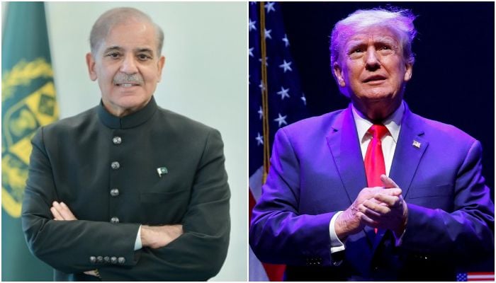 A collage of pictures of Prime Minister Shehbaz Sharif and US president-elect Donald Trump. — X@PakPMO/Reuters