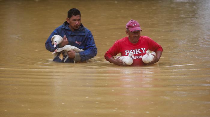 The death toll has risen to 12 as Thailand and Malaysia face the worst floods in decades

 – Newsad