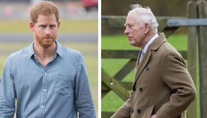 King Charles launches brand new snub against Prince Harry?