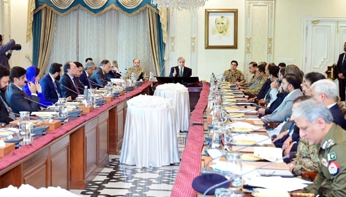 Prime Minister Shehbaz Sharif chairs a meeting of the federal apex committee of the National Action Plan in Islamabad on November 19, 2024. —Facebook/ @PrimeMinisterOfficePakistan