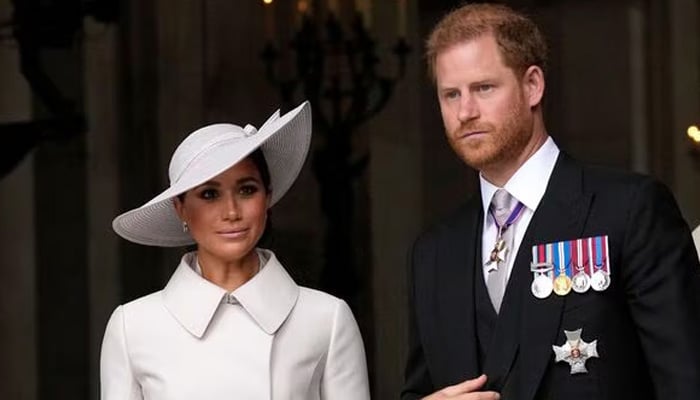 Prince Harry, Meghan Markles new documentary could hurt their reputation