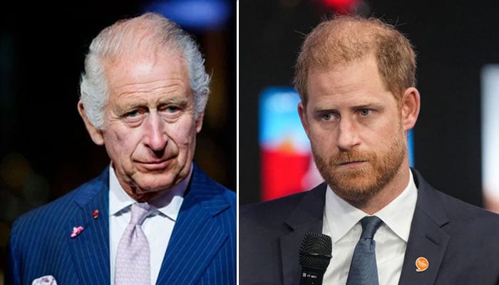 Prince Harry fighting King Charles for his sanity?