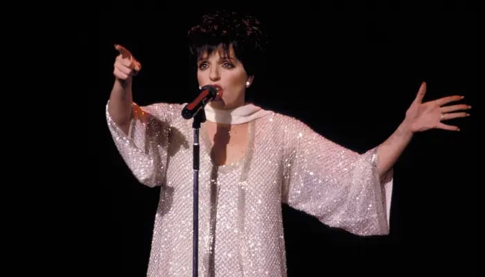 Liza Minnelli dishes on one requirement for her biographical role