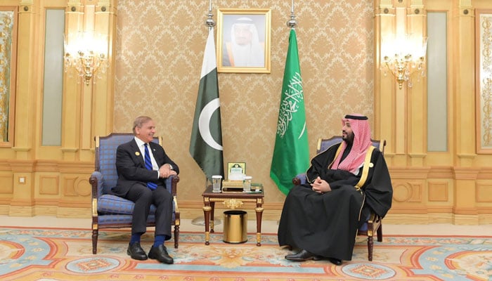 PM Shehbaz Sharif (left) meets Saudi Arabia’s Crown Prince Mohammed bin Salman on sidelines of the water summit in Riyadh on December 3, 2024. — X/@CMShehbaz