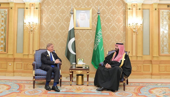 Prime Minister Shehbaz Sharif meets Crown Prince and Prime Minister of Saudi Arabia HRH Mohammad Bin Salman Al Saud on the sidelines of One Water Summit in Riyadh on December 3, 2024. — PID