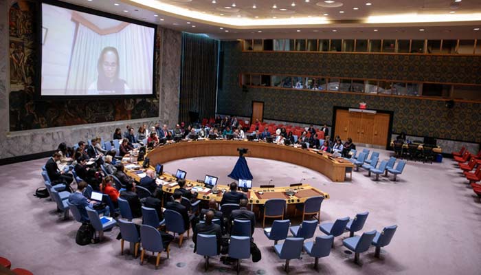 This representational image shows a UN Security Council meeting in session at UN headquarters in New York City, US on December 3, 2024. — AFP