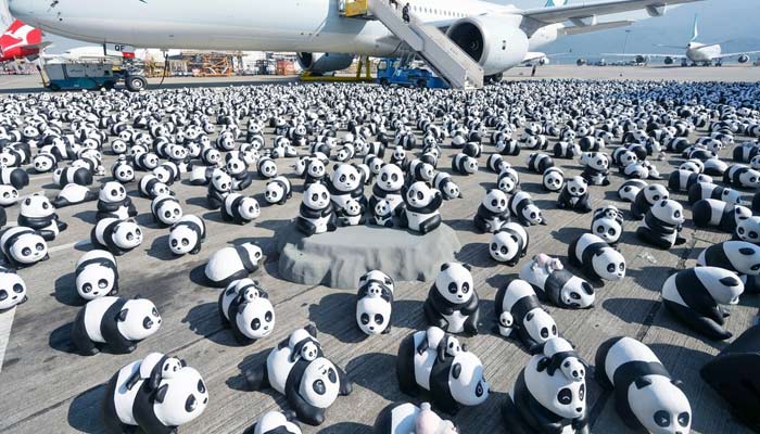 Panda sculptures displayed at the Hong Kong International Airport during a welcome ceremony of the panda-themed exhibition Panda Go! in Hong Kong on December 2, 2024. — Instagram/@hketo_sydney