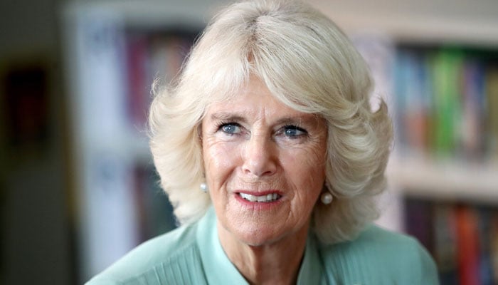 Queen Camilla downplays health concerns with low-key revelation