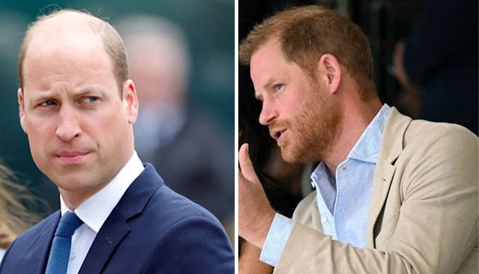 Prince William growing scared for his reputation as King with Prince Harry out and about