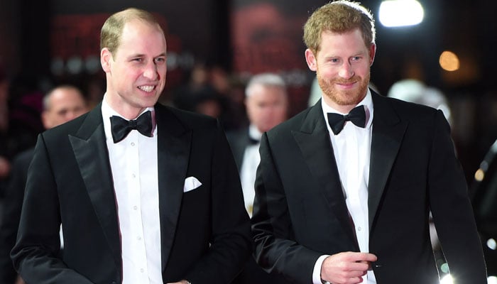 Prince Harry, Prince William release major statements to mark key anniversary