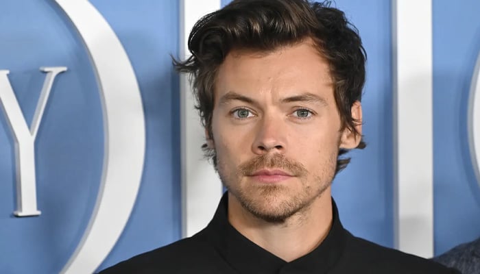 Harry Styles introduces major new brand project post hair transplant rumors