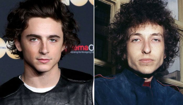 Timothée Chalamet reacts to Bob Dylans biopic comment