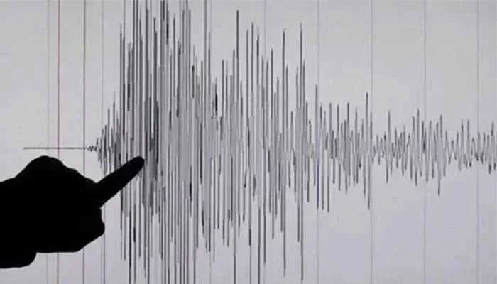 A representative image showing a Richter scale reading. – Reuters/File