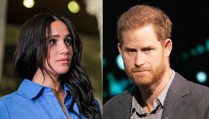 Prince Harry, Meghan Markle branded overtly sensitive: ‘Let everything get to them