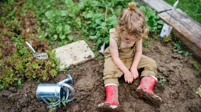 Does playing in dirt strengthen kids’ immune system? Experts weigh in