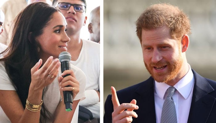 Prince Harry branded the real culprit behind Meghan Markles behavior