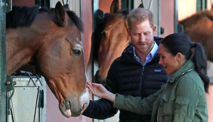 Meghan Markle gets flung off her horse after Polo documentary