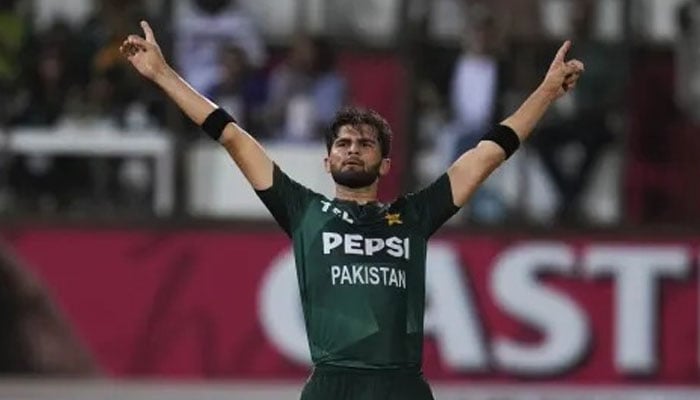 Pakistan pacer Shaheen Shah Afridis celebrates after taking a wicket during the first T20 International against South Africa on December 10, 2024. — Author