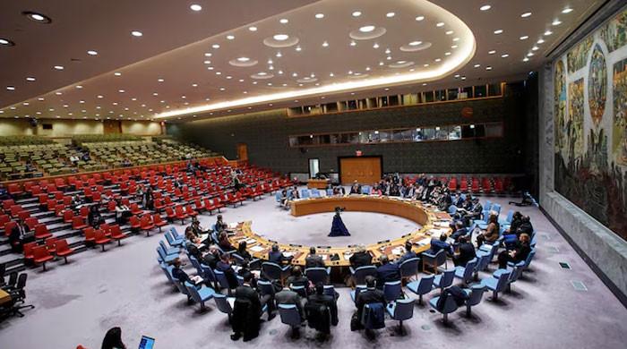 UN Security Council to issue statement on Syria crisis in coming days: diplomats