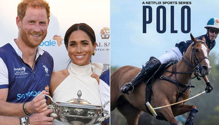 Critics give verdict on Prince Harry latest project on Netflix