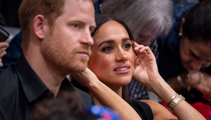 Prince Harry, Meghan Markle Netflix future hangs in balance after Polo doc