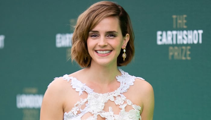 Emma Watson has no hard feelings for This Is the End film team