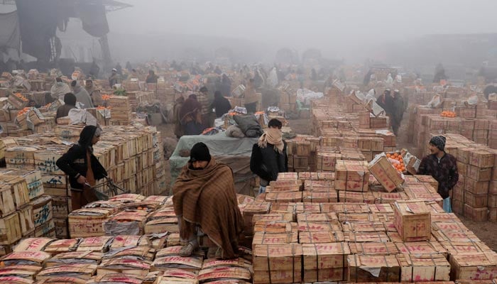 People cover themselves to stay warm during heavy fog, early in the morning at the fruit wholesale market on the outskirts of Peshawar, January 9, 2024. — Reuters