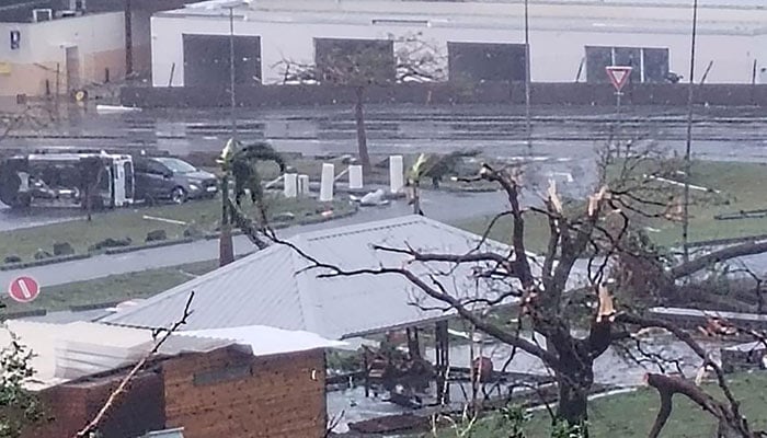 This handout photograph taken and released by the General Direction of the civil aviation on December 14, 2024 shows borken trees at the airport in Pamandzi, hours after Cyclone Chido batterred the French Indian Ocean island of Mayotte. — AFP