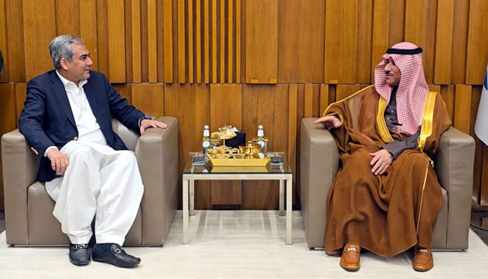 Interior Minister Mohsin Naqvi meets Saudi Minister of State for Interior Dr Khalid Mohammed Abdullah Al Battal in Riyadh on Sunday, December 15, 2024. —  APP