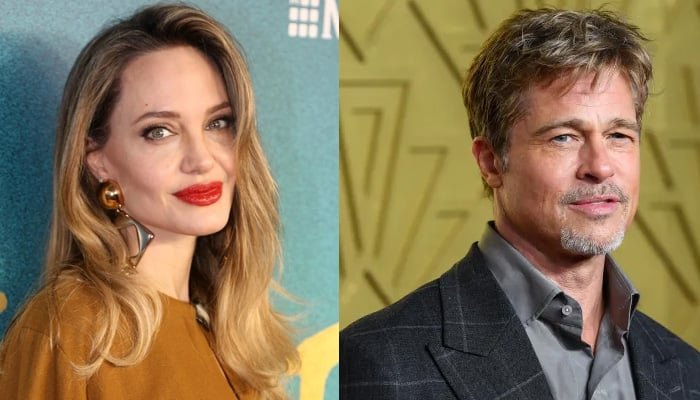 Angelina Jolie says shes alone ahead of court battle with ex-husband Brad Pitt