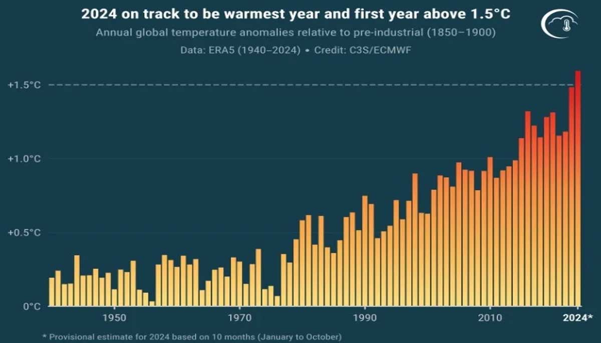 A graph showing temperature records over the decades along with the projection of 2024 temperatures based on 10-month data. — EUs C3S