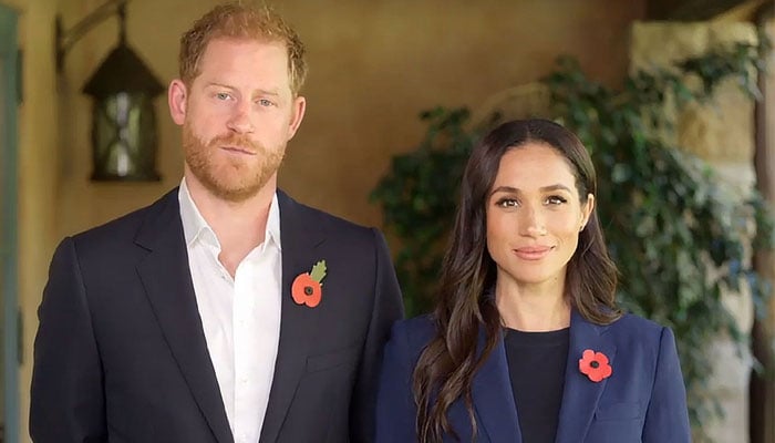 Prince Harry, Meghan Markles holiday message misses the mark with Royal fans