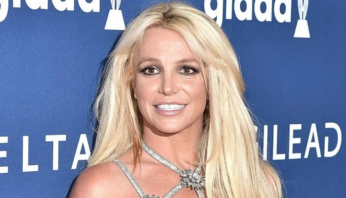 Britney Spears latest snap hints at something new?