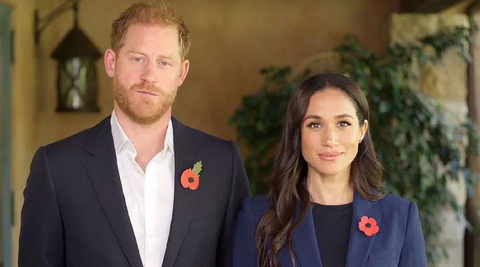 Prince Harry, Meghan Markle's holiday message misses the mark with Royal critics