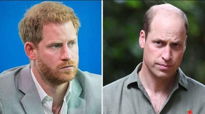 Prince William's feeling only hatred for Duke of Sussex now?