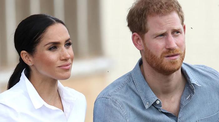 Harry & Meghan losing public support? Royal experts 'feel sorry' for them