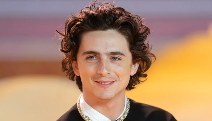 Timothee Chalamet explains what makes him feel like a arrogant prick