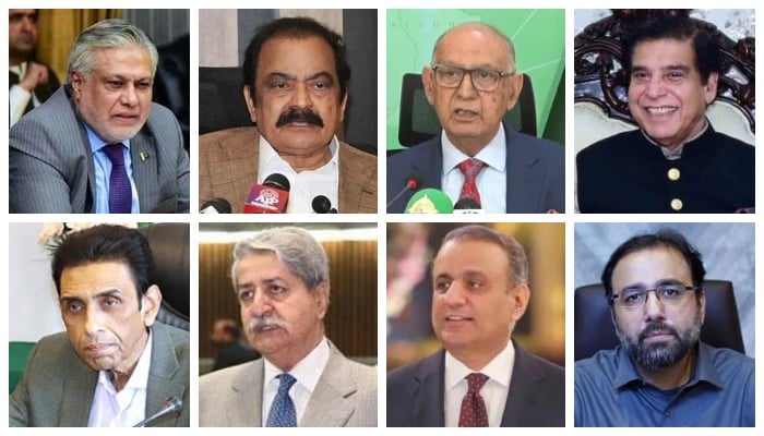 (Clockwise from top left to right) Deputy Prime Minister Ishaq Dar, PML-N leader Rana Sanaullah, Senator Irfan Siddiqui, Pervaiz Ashraf, Chaudhry Salik Hussain, Abdul Aleem Khan, Naveed Qamar and Khalid Maqbool Siddiqui. —APP/ Screengrab/ YouTube/ Geo News/ Facebook/@PervezAshrafPPP/ @naveedqamar221/ @bdulAleemKhanOfficial/ @ChaudhrySalikHussain/ File