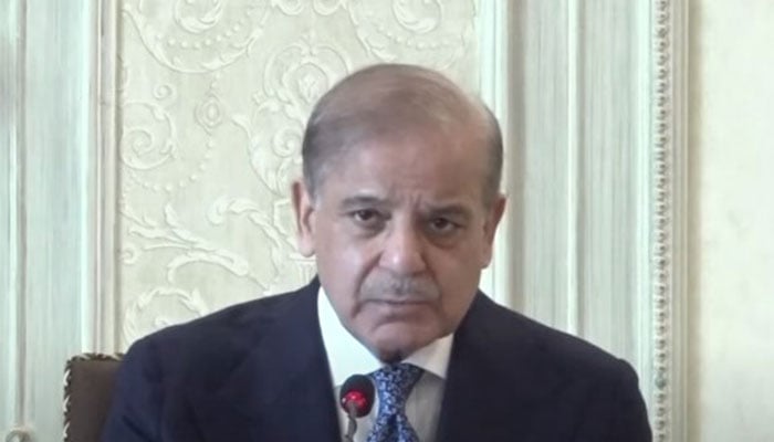 PM Shehbaz Sharif speaks during a federal cabinet meeting in Islamabad on December 24, 2024. — Screengrab via Geo News