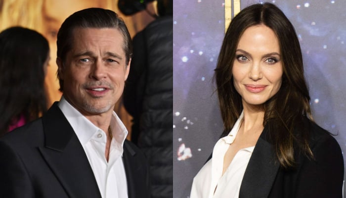 Brad Pitt's legal request could seriously hurt Angelina Jolie's reputation