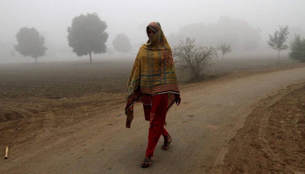 A woman walks alongside a field on a smoggy morning on the outskirts of Multan, November 11, 2024. — Reuters