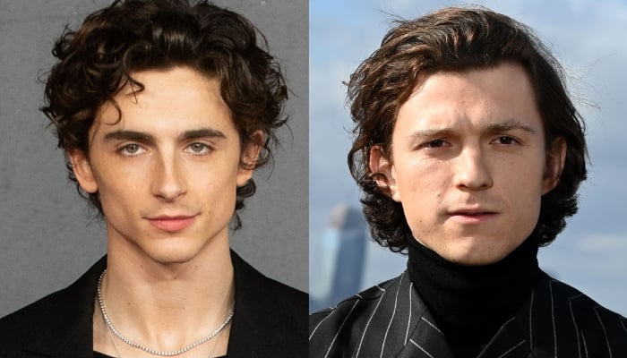 Photo: Timothee Chalamet reacts to feud rumours with Tom Holland: Source