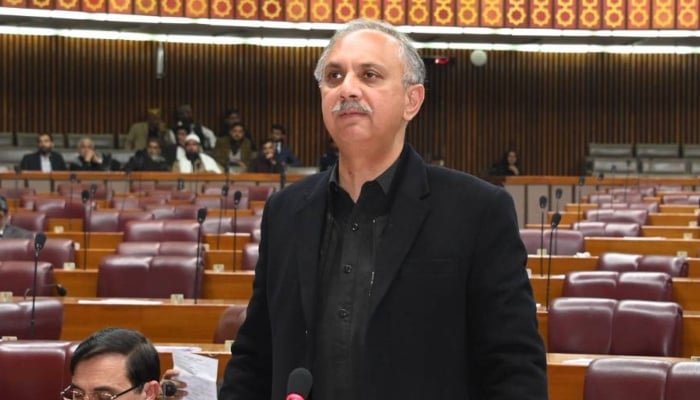 PTI leader Omar Ayub addressing a National Assembly session on December 16, 2024. —Facebook/ @OmarAyubKhan.Official