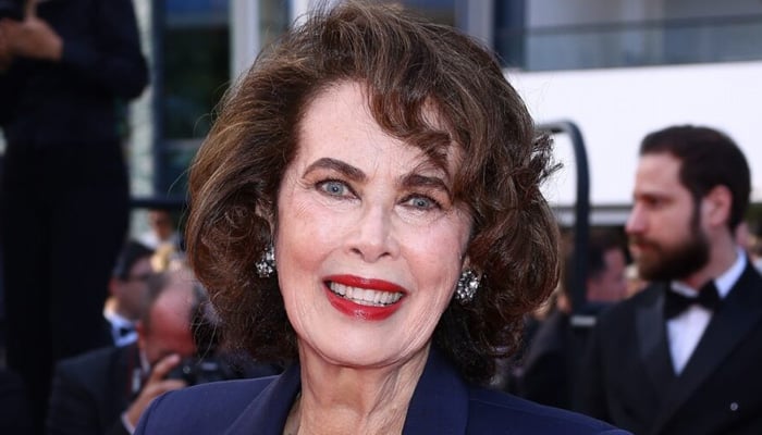 Dayle Haddon, actress and model, tragically passes away at 76