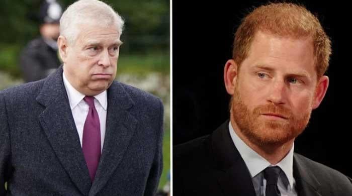 Prince Andrew shows Harry how to deal with King Charles and his loyalists