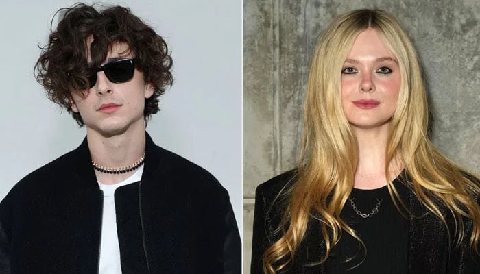 Timothee Chalamet, Elle Fanning recreate Ariana Grandes viral moment