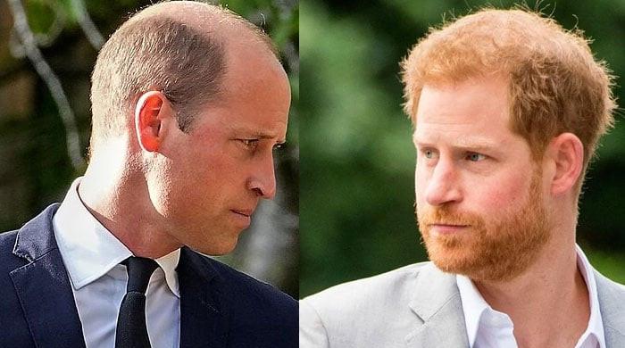 Prince William, Prince Harry rift and future in 2025 predicted by expert