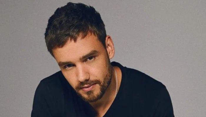 Liam Paynes much anticipated Netflix show makes major move after singers death