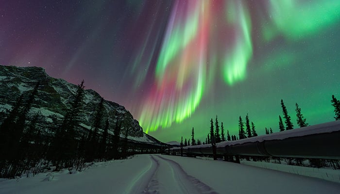 Aurora borealis gracing the night sky in the Northern Hemisphere. — X/@Vincent_Ledvina