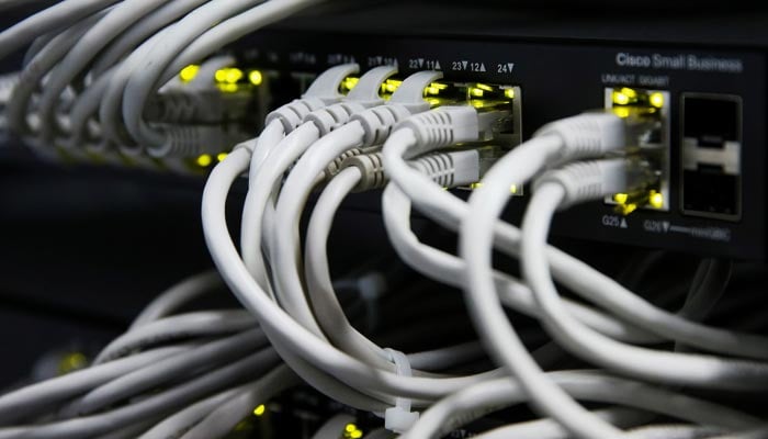 Ethernet cables used for internet connection are seen in this undated image. — Reuters